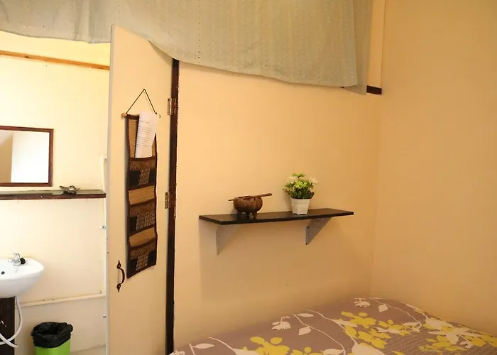 Eco House *
